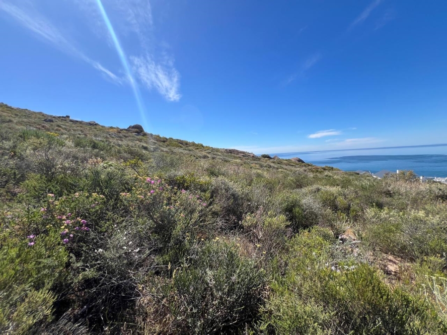 Commercial Property for Sale in St Helena Views Western Cape